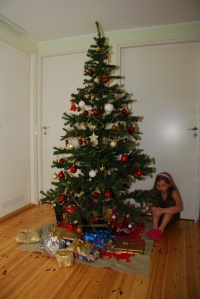 Jõulupuu ja päkapikk